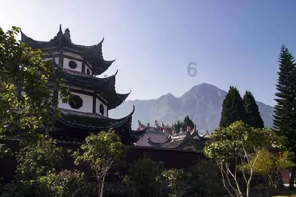 解救金刚鹦鹉