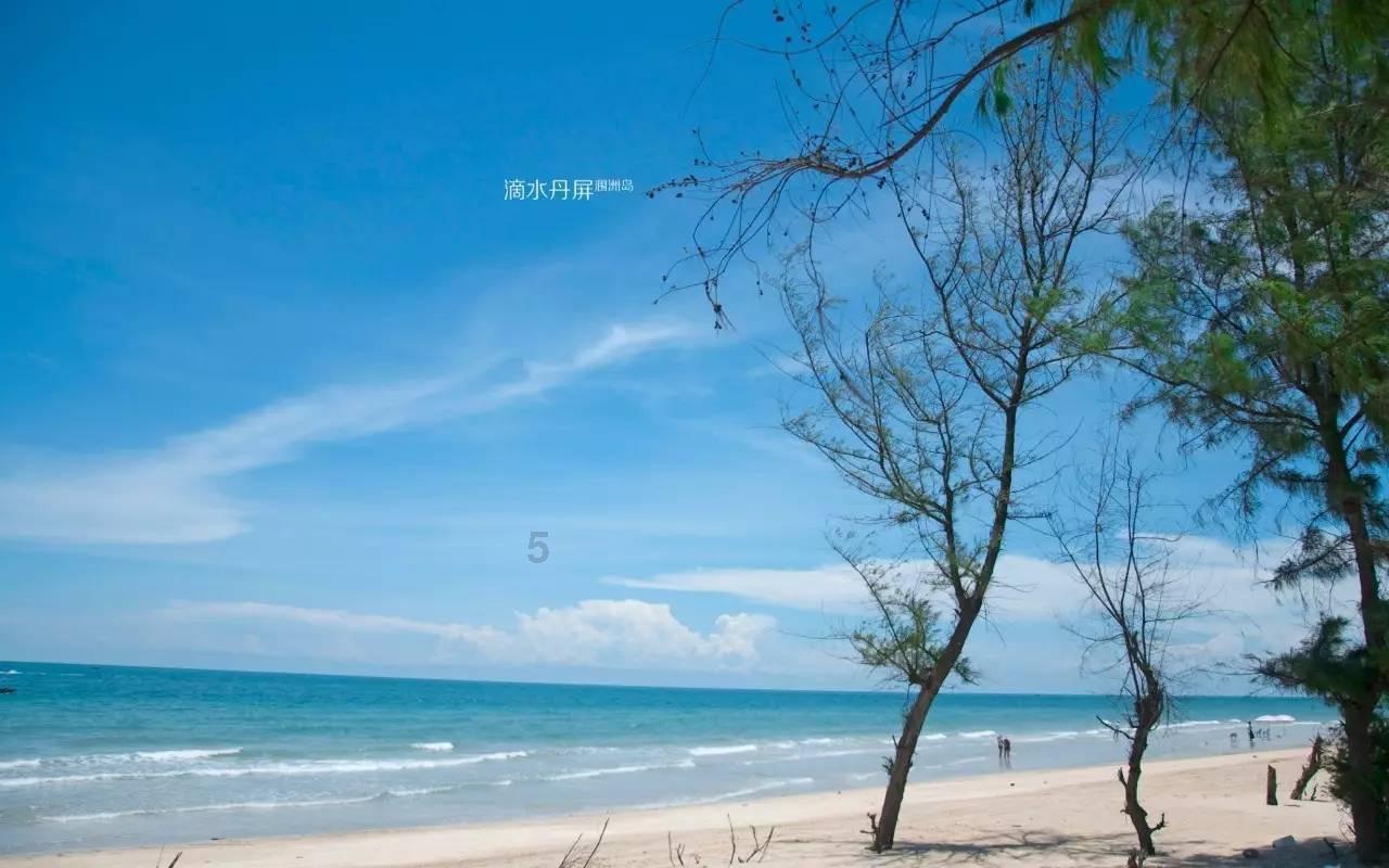动物记忆大翻牌