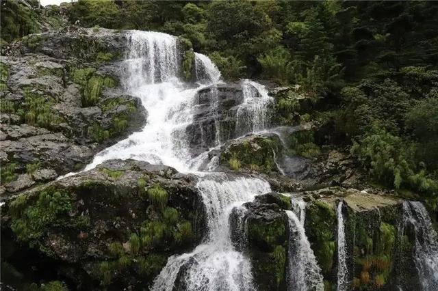 市南公安在行动!全力筑牢岁末年初安全稳定防线